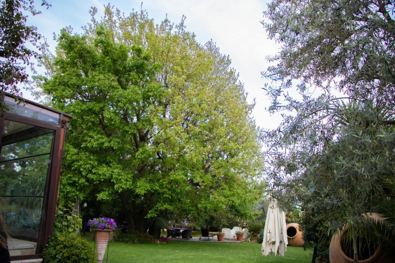 Agriturismo Paradiso Di Barchi Terracina Bagian luar foto